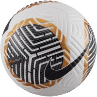 NIKE Academy Fußball