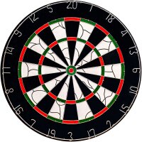 BULLS Bristol Flocked Paper Steeldartscheibe
