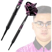 BULLS Rusty-Jake Rodriguez Soft Darts 20 g