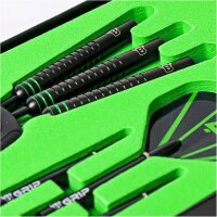 BULLS Luc Peters Steel Darts 22 g