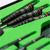 BULLS Brian Raman Steel Darts