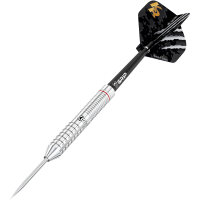 BULLS Krzysztof Ratajski Brass Silver Steel Darts