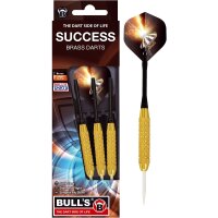 BULLS Success Steel Darts