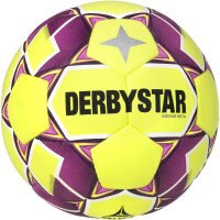 DERBYSTAR Indoor Beta Hallenfußball