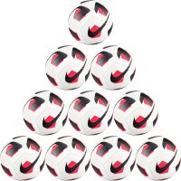 10er Ballpaket NIKE Park Fußball