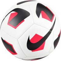 10er Ballpaket NIKE Park Fußball