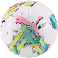 10er Ballpaket PUMA Orbita 4 Hybrid 4 Fußball...