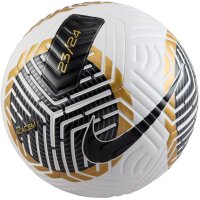 10er Ballpaket NIKE Academy Fußball