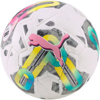 10er Ballpaket PUMA Orbita 1 TB Fußball puma...