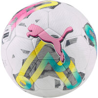 10er Ballpaket PUMA Orbita 2 TB Fußball puma...