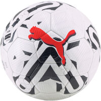 10er Ballpaket PUMA Orbita 2 TB Fußball puma...