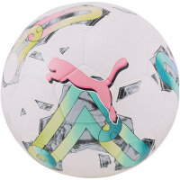 10er Ballpaket PUMA Orbita 5 TB Hard-Ground Fußball...