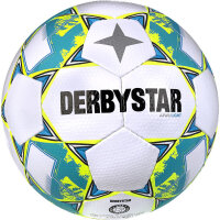 10er Ballpaket DERBYSTAR Apus Light 350g...