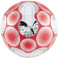 10er Ballpaket PUMA Cage Fußball 01 - fire...