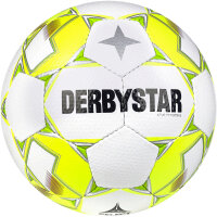 10er Ballpaket DERBYSTAR Apus TT Futsal...