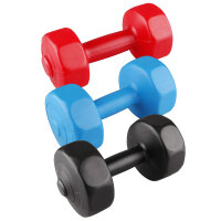 V3TEC Gymnastikhantel