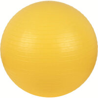 V3TEC Gymnastik Ball