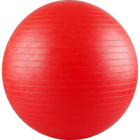 V3TEC Gymnastik Ball