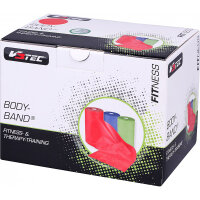 V3TEC Fitness Band