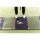 Pure2Improve Golf Putting Spiegel 12"