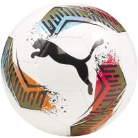 PUMA Futsal 3 MS Hallenfußball