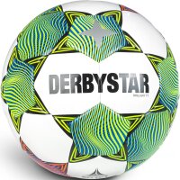 DERBYSTAR Brillant TT Fußball Trainingsball