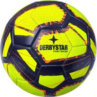 10er Ballpaket DERBYSTAR Street Soccer Fußball...