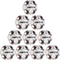 10er Ballpaket DERBYSTAR Tempo APS Spielball...