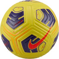 10er Ballpaket NIKE Academy Team Fußball