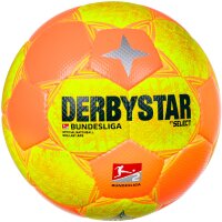 10er Ballpaket DERBYSTAR 2. Bundesliga Brillant APS High...