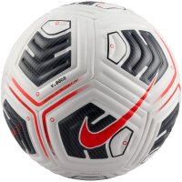 10er Ballpaket NIKE Academy Plus Fußball