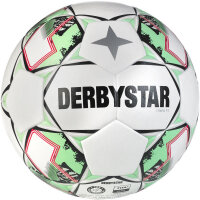 10er Ballpaket DERBYSTAR Tempo TT Trainingsfußball...