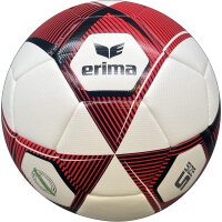 10er Ballpaket erima Hybrid Training 2.0 Fußball...