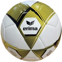 10er Ballpaket erima Hybrid Training 2.0 Fußball...