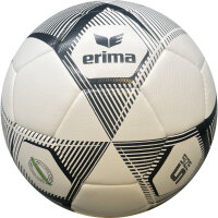 10er Ballpaket erima Hybrid Training 2.0 Fußball...