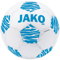 10er Ballpaket JAKO Wild Fußball Trainingsball