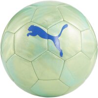 10er Ballpaket PUMA Final Graphic Fußball 02 -...