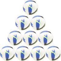 10er Ballpaket PUMA Cage Fußball 02 -...