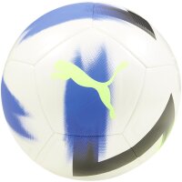 10er Ballpaket PUMA Cage Fußball 02 -...