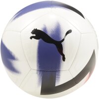 10er Ballpaket PUMA Cage Fußball 01 - PUMA...