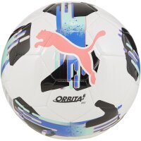 10er Ballpaket PUMA Orbita 6 MS Fußball...