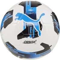 10er Ballpaket PUMA Orbita 6 MS Fußball...
