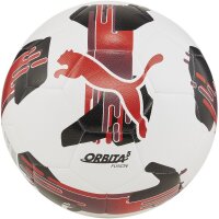 10er Ballpaket PUMA Orbita 5 Fusion Fußball 04 -...