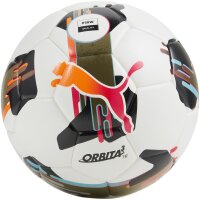 10er Ballpaket PUMA Orbita 3 TB Fußball...