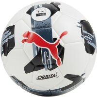 10er Ballpaket PUMA Orbita 3 TB Fußball...