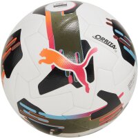 10er Ballpaket PUMA Orbita 1 TB Fußball Spielball...