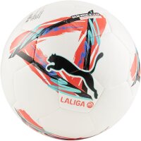 10er Ballpaket PUMA Orbita LaLiga 1 Hybrid Fußball...