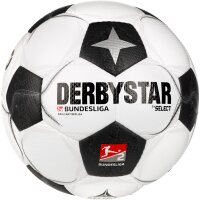 10er Ballpaket DERBYSTAR 2. Bundesliga Brillant Classic...