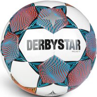 10er Ballpaket DERBYSTAR Brillant TT Fußball...