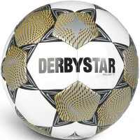 10er Ballpaket DERBYSTAR Brillant TT Fußball...